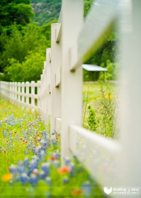 Texas Hill Country Fence