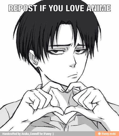 I love Anime you do too right? I also love Levi