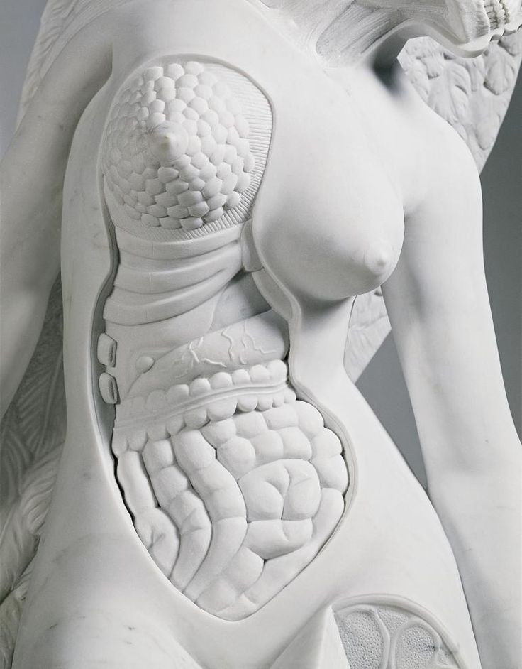 Damien Hirst. The Anatomy of an Angel (detail)