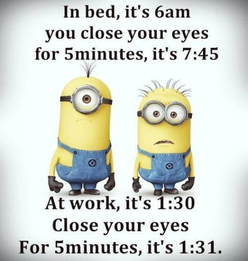 Funny Minions Quotes Of The Week -