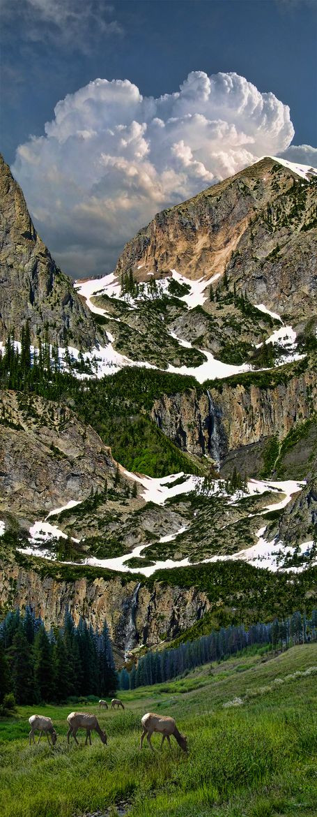 Elk Mountains - Colorado - USA
