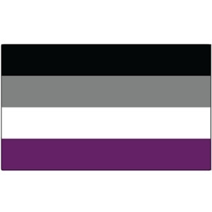 Asexual Flag Pride - Rectangle Car Bumper Sticker...