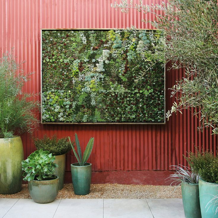 Vertical Succulent Garden by floragrubb: 20 x 20"...