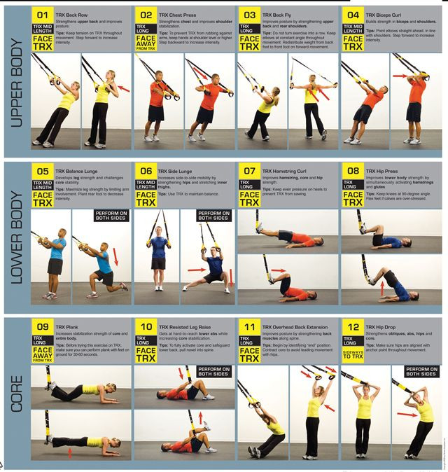 Suspension Training TRX Facts and Posters