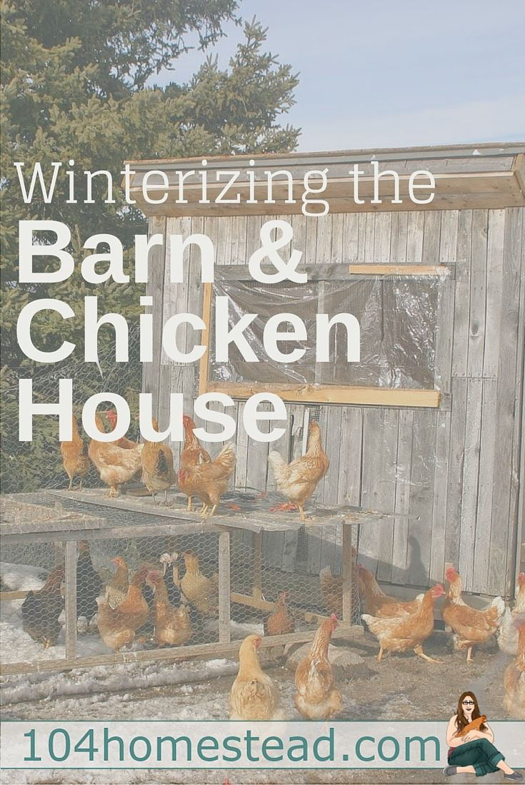 How to Prepare Your Chicken House & Barn for Winte...