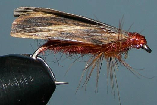 Slow Water Caddis trout fly