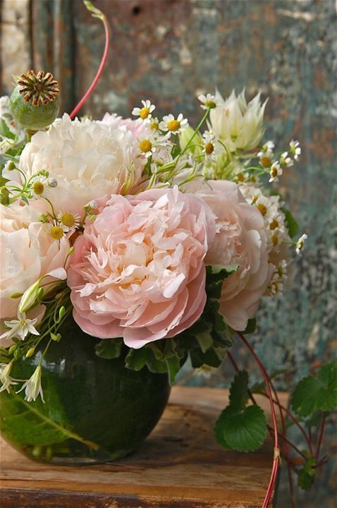 White asters, peonies, garden roses