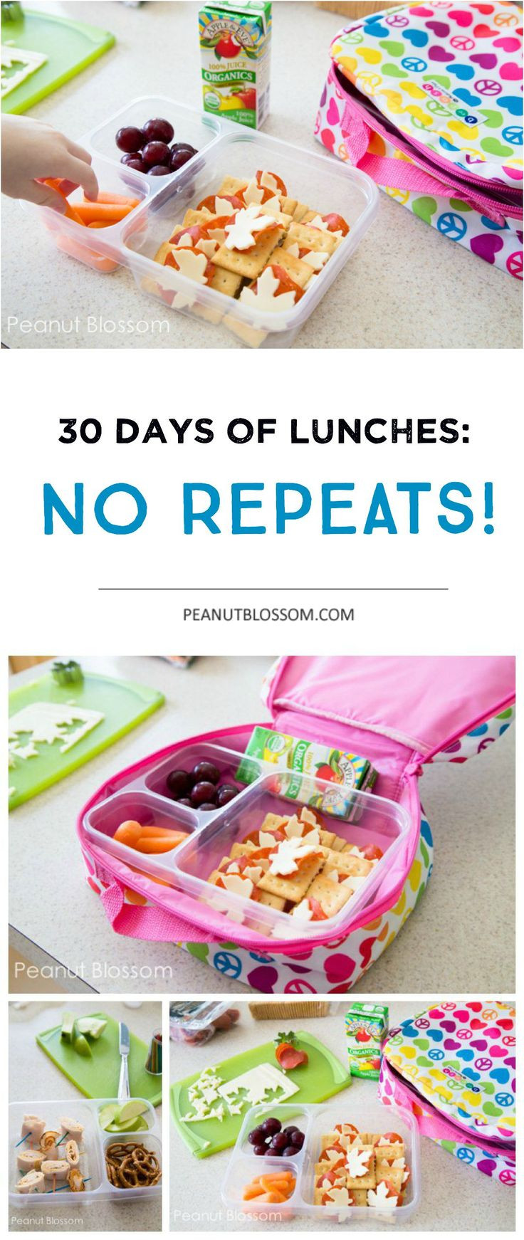 30 days of kids school lunch ideas: No Repeats!