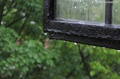 Oregon rain from window - I love Oregon rain!  Goo...
