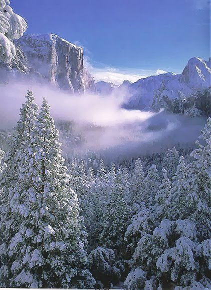 Yosemite National Park in Winter. Beautiful!