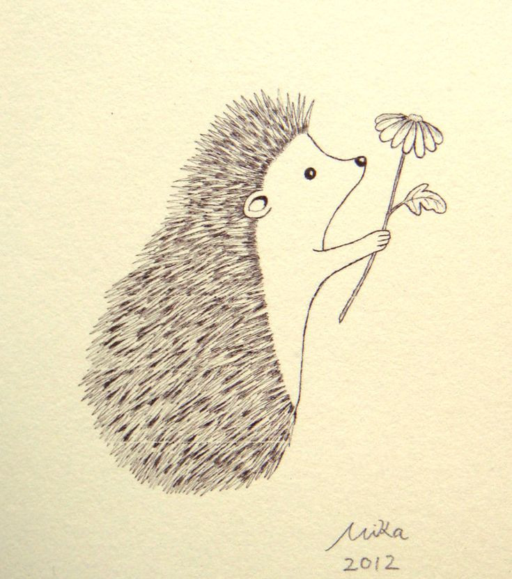 Hedgehog Illustration Print Ink Drawing Print Blac...