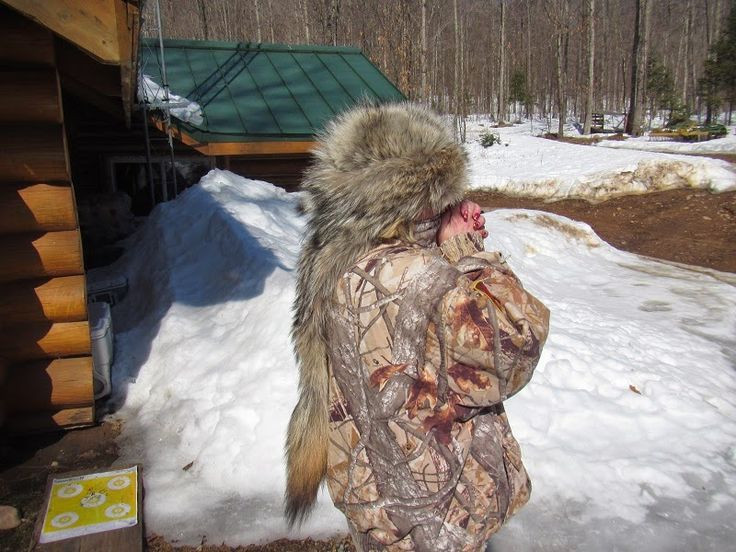 How to make a fur hat from a coyote pelt.