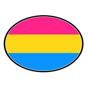 Pansexual Flag - LGBT Pan Pride - Oval Car Magnet...