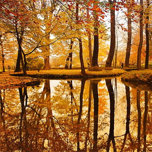 20 Beautiful Fall Pictures | Cuded. | Posted by christophe on Travel ...