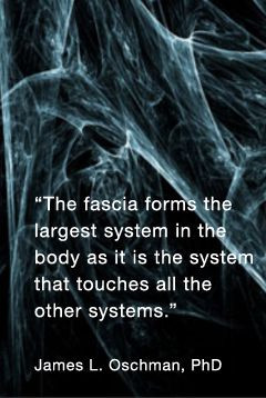 "The fascia forms the largest system in the body a...
