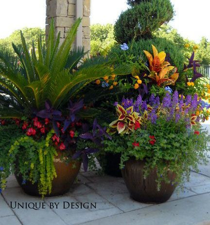 Container Gardens for the Midwest