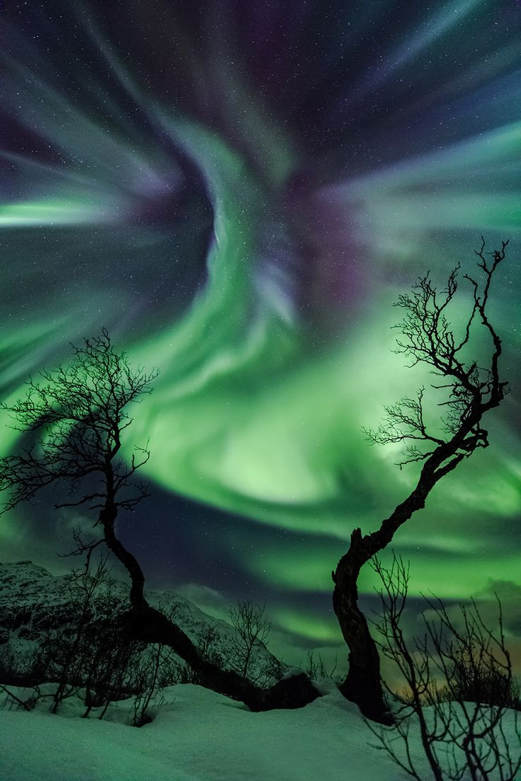 The Most Spectacular Astronomy Photographs Of 2014