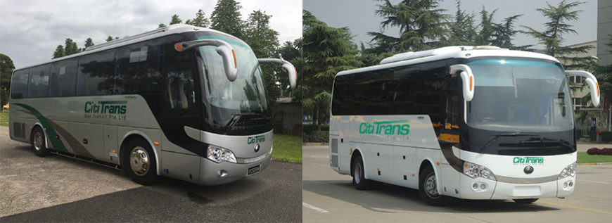 Cititrans Bus Transit  » Our Services