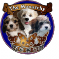 cavachonsfromthemonarchy