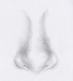 Featured image of post How To Draw A Realistic Nose For Kids / Drawing the nose involves understanding some simple anatomy.
